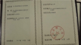 公司证书